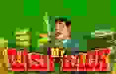 Mr Cashback logo
