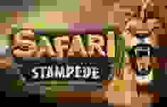 Safari Stampede logo