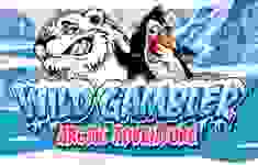 Wild Gambler Arctic logo