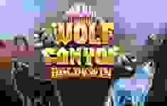 Wolf Canyon logo