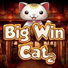 Big Win Cat