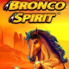 Bronco Spirit