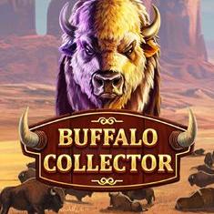 Buffalo Collector slot game
