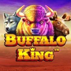 Buffalo King