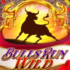 Bulls run Wild