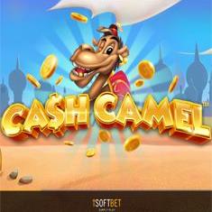 Cash Camel