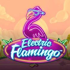 Electric Flamingo slot game
