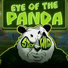 Eye of the panda