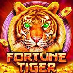 Fortune Tiger