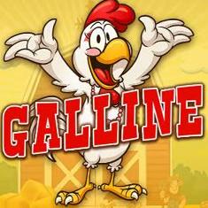 Galline