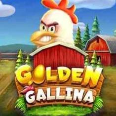 Golden Gallina