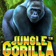 Jungle Gorilla