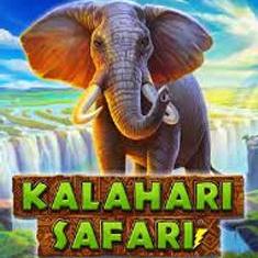 Kalahari Safari