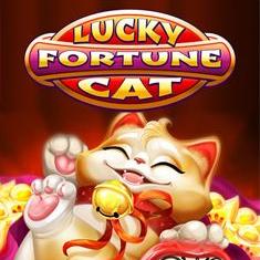 Lucky Fortune Cat