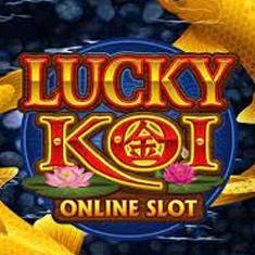 Lucky Koi
