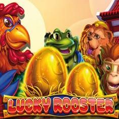 Lucky Rooster