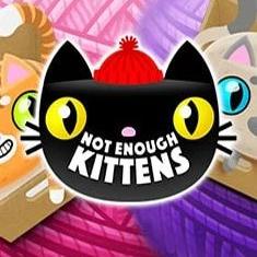 Not Enough Kittens