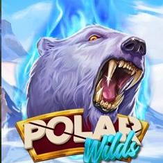 Polar Wilds slot game