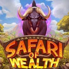 Safari of Wealth