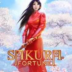 Sakura Fortune slot game