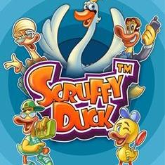 Scruffy Duck