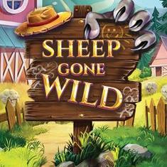 Sheep Gone Wild
