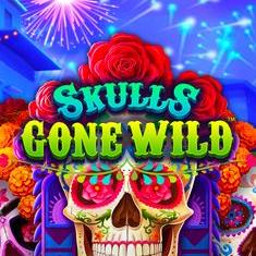 Skulls Gone Wild slot game
