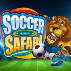Soccer Safari