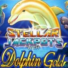 Stellar Jackpots with Dolphin Gold