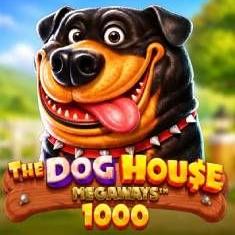 The Dog House Megaways 1000 slot game