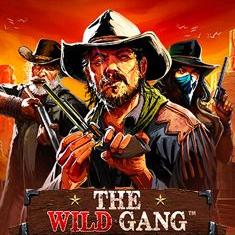 The Wild Gang slot game