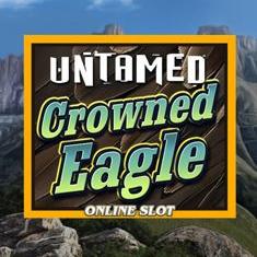 Untamed Eagle