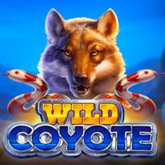 Wild Coyote