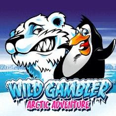 Wild Gambler Arctic Adventure