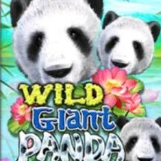 Wild Giant Panda slot game
