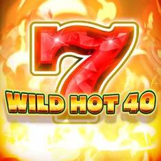 Wild Hot 40 slot game