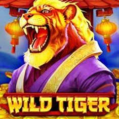 Wild Tiger slot game