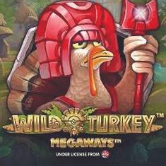 Wild Turkey Megaways slot game