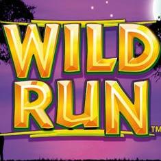 Wild Run slot game