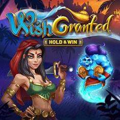 Wish Granted  slot game