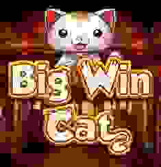 Big Win Cat logo