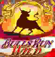 Bulls Run Wild logo