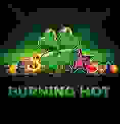Burning Hot logo