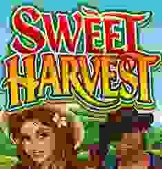 Sweet Harvest logo