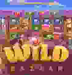 Wild Bazar logo