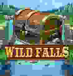Wild Falls logo