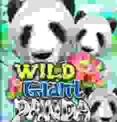 Wild Giant Panda logo