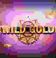 Wild Gold logo
