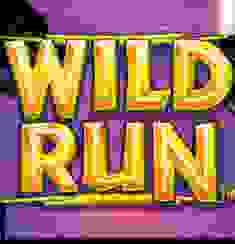 Wild Run logo