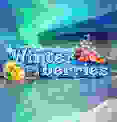 Winter Berries logo